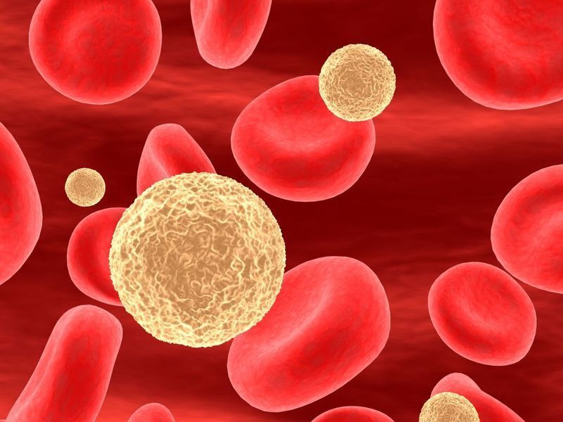 Ý nghĩa của phương pháp ứng dụng dược liệu nano đối với các bệnh về máu 1